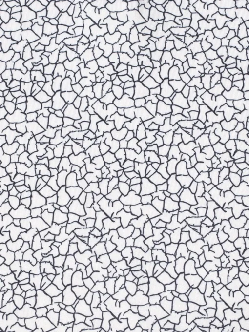 Calvin Klein Women'S Crackle Polo - White/Navy