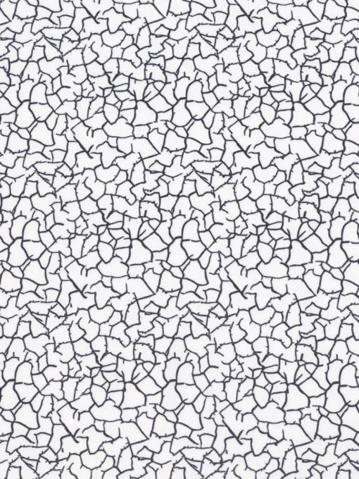 Calvin Klein Women'S Crackle Sleeveless Polo - White/Navy